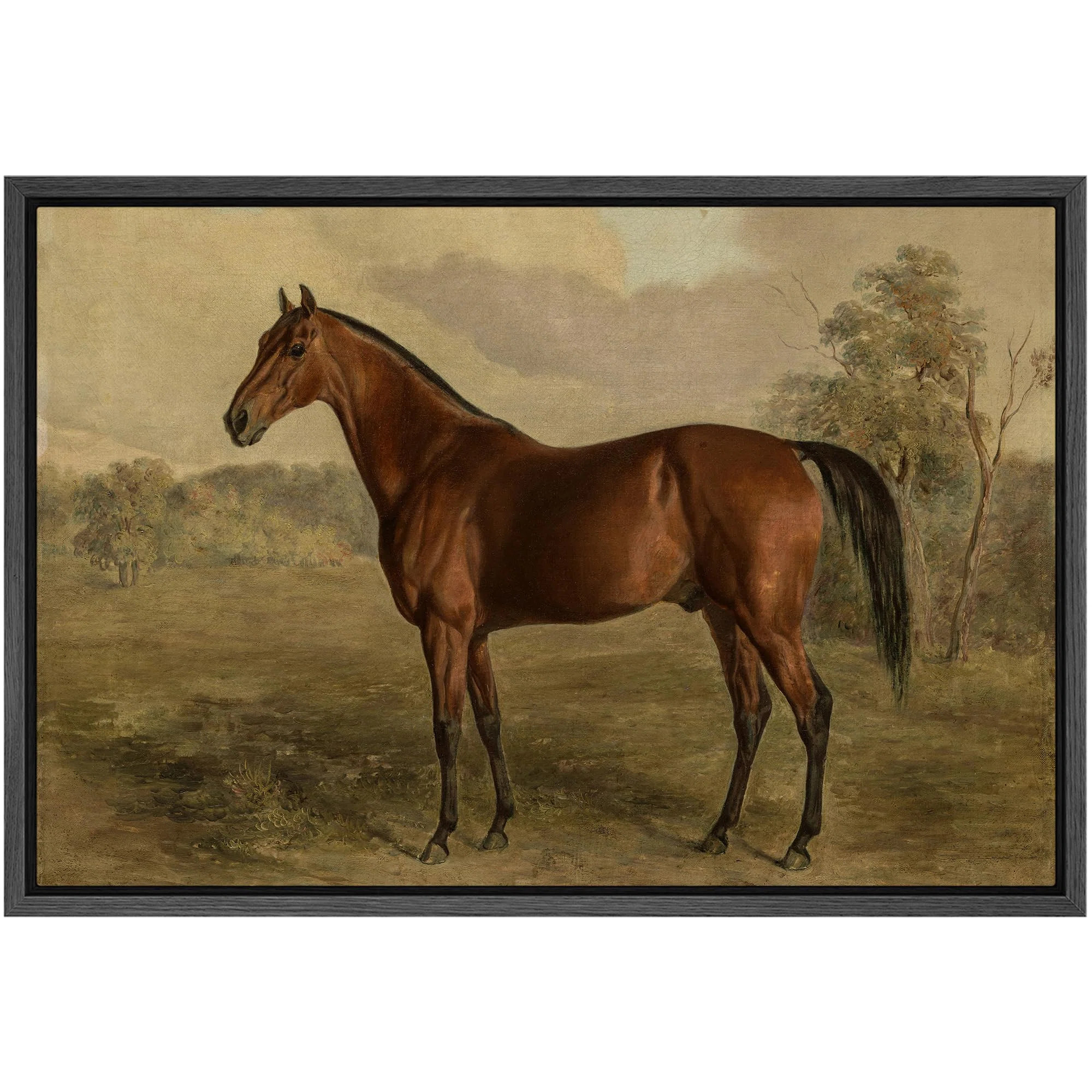 " Equestrian Portrait Of A Chestnut Horse Classic Equine Illustrations Rustic French Country " | Wayfair North America