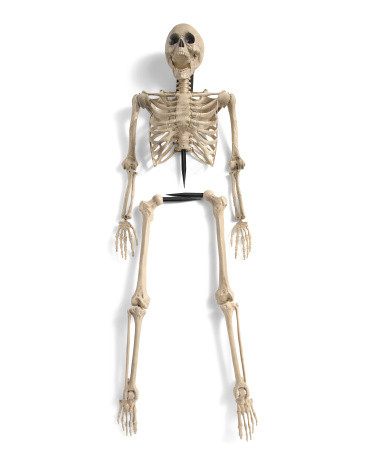 3Pc Outdoor Safe Half Body Led Skeleton Garden Stake Set | TJ Maxx