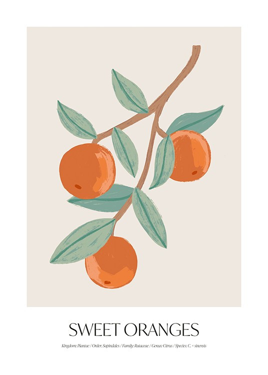 Sweet Oranges Poster | Desenio