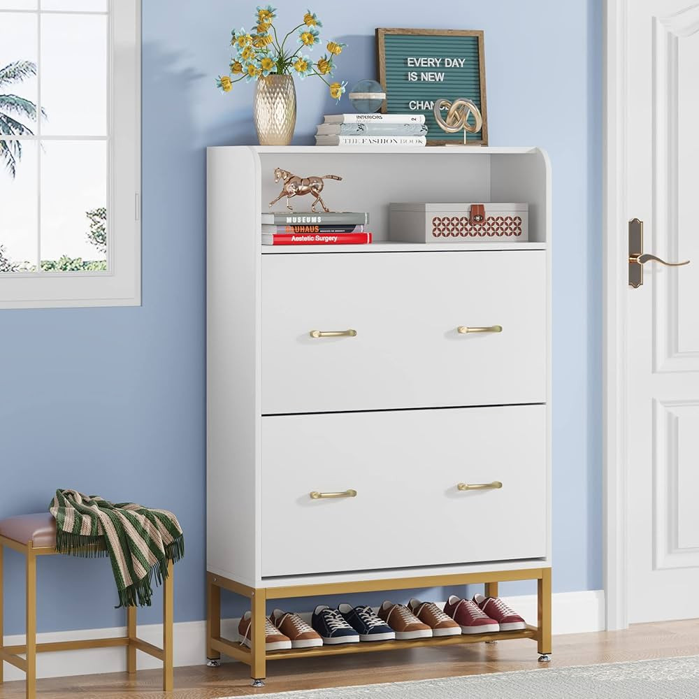 TIYASE Shoe Cabinet with 2 Flip Drawers, Modern Tipping Bucket Shoe Storage Cabinet for Entryway,... | Amazon (US)