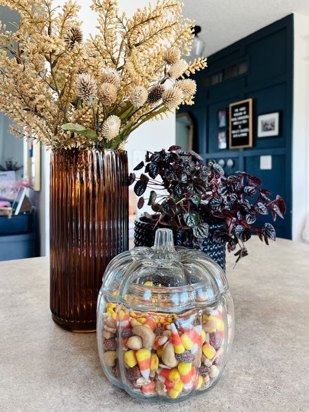Fall table decor, fall pumpkin jar, fall stems, fall florals, fall kitchen

#LTKSeasonal #LTKhome