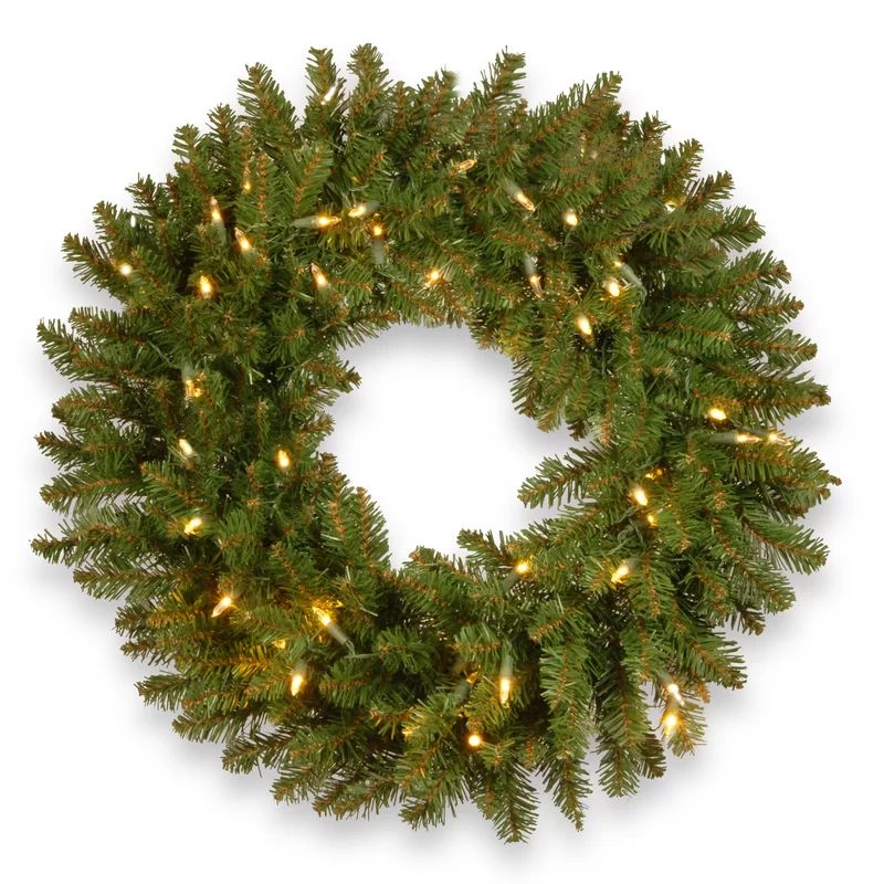 Kingswood Fir 30" Lighted Wreath | Wayfair North America
