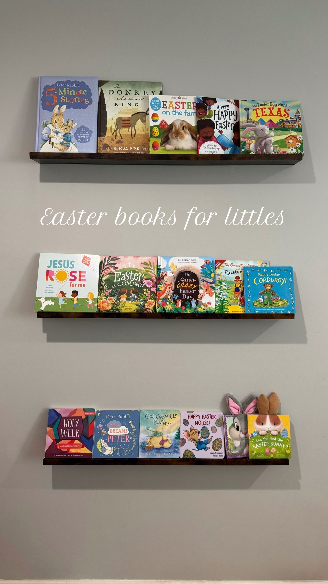 Easter book haul!!! ✝️🪨🐰🐣

#LTKSeasonal #LTKKids #LTKBaby