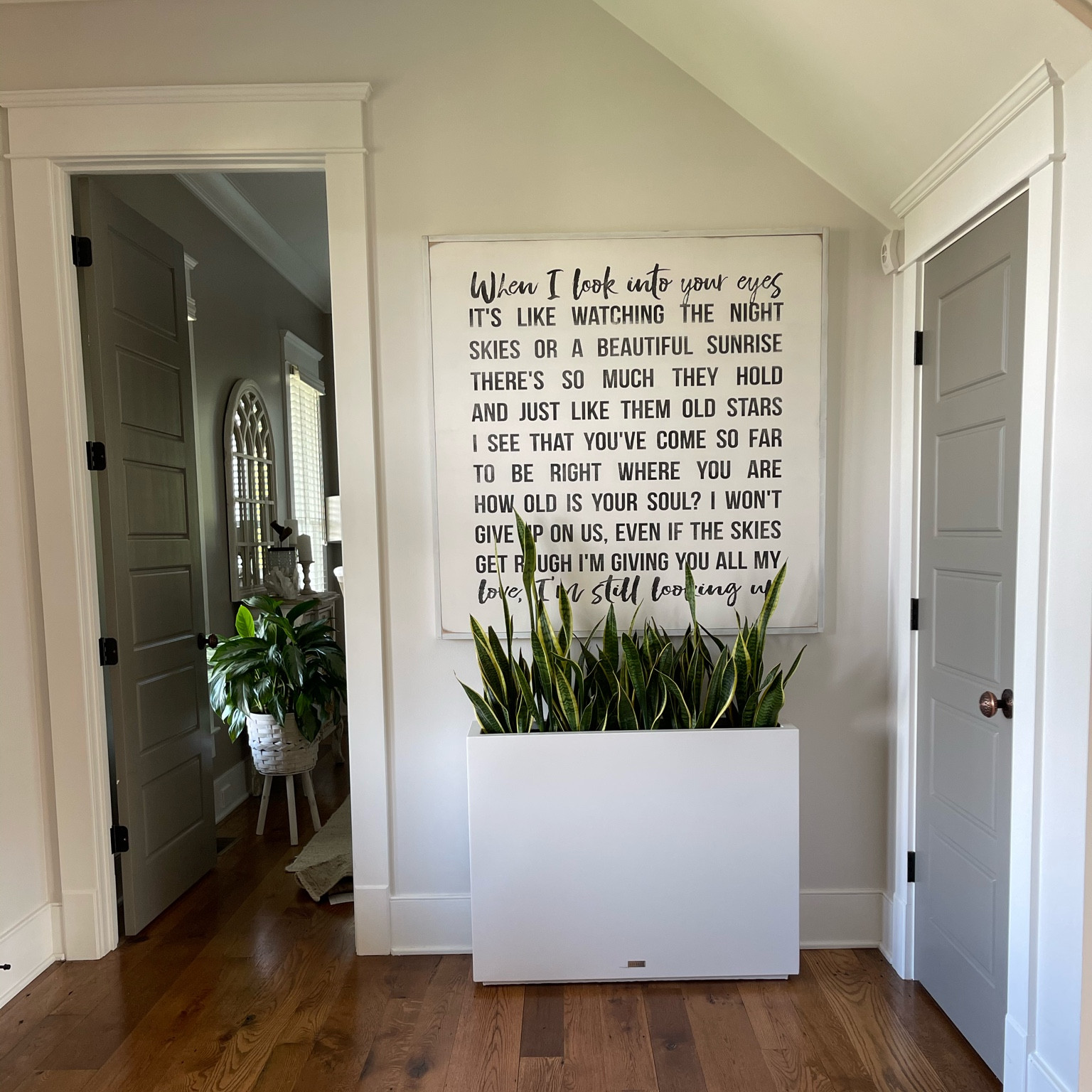 Amazon prime day deal- planter for snake plants that can go indoor or outdoors is on sale! Looks beautiful in my entryway under art or on my back porch under an oversized mirror. #founditonamazon

#LTKxPrimeDay #LTKhome #LTKsalealert