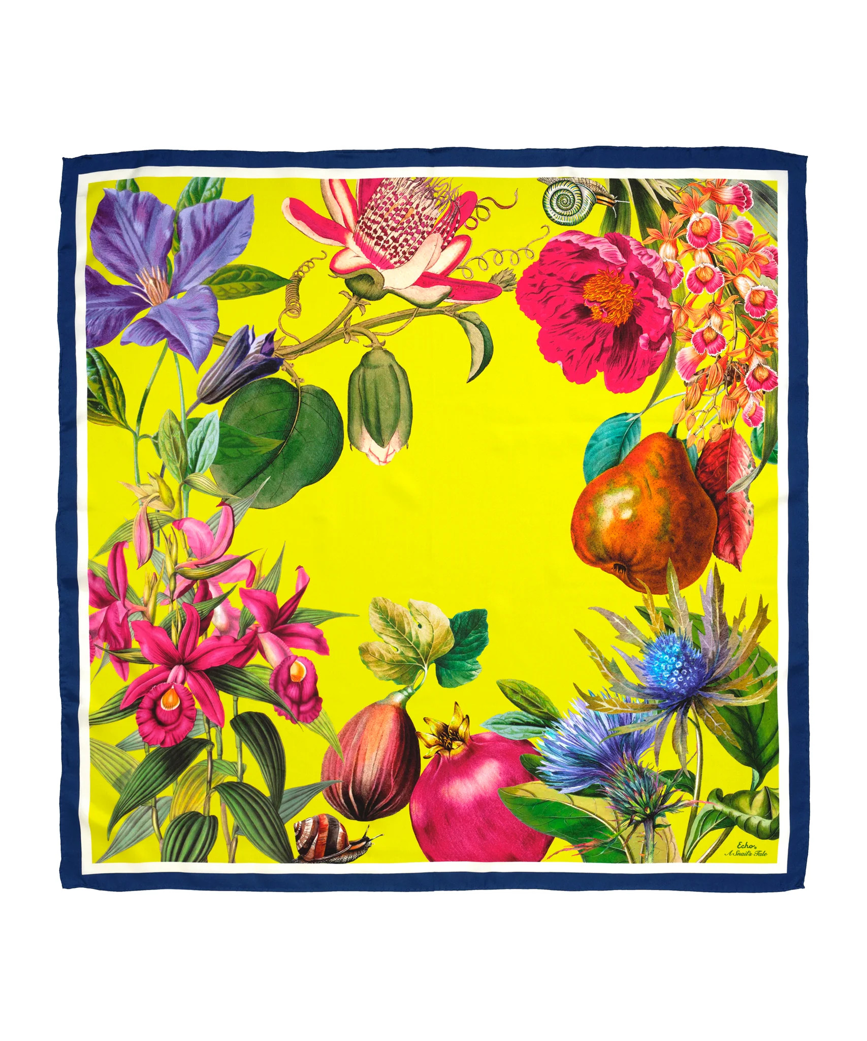 A Snail's Tale 35" Silk Square Scarf | Echo New York