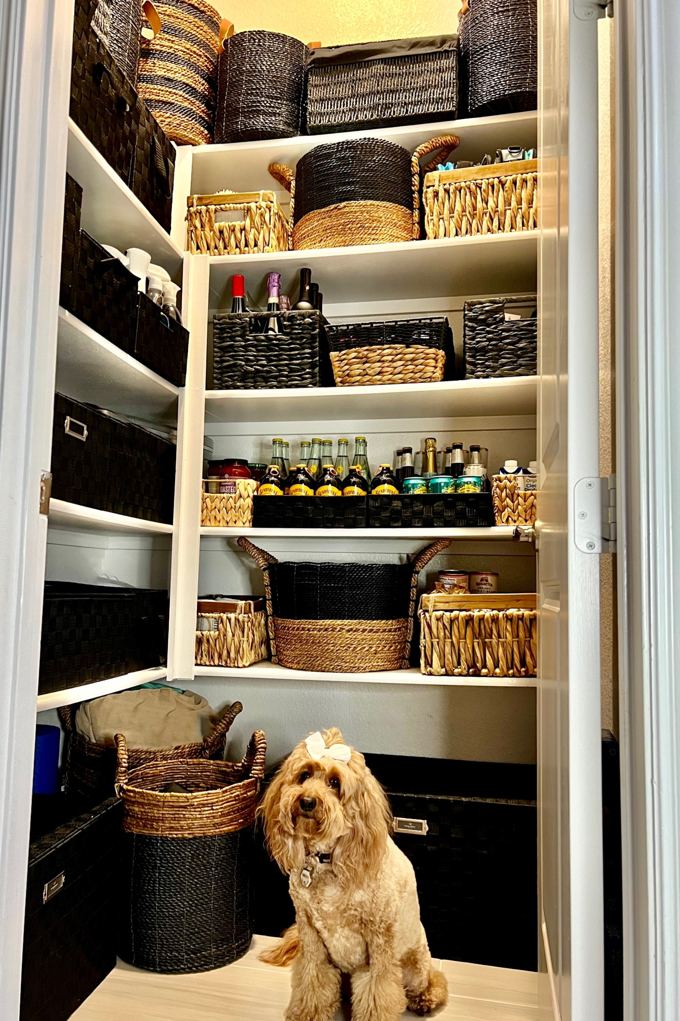 Organizing a pantry with style is easy and fun when using an assortment of storage baskets. Sharing some of my favorites pictured here and others that would fit in nicely or that I have used in other areas of my home.

#LTKunder50 #LTKFind #LTKhome