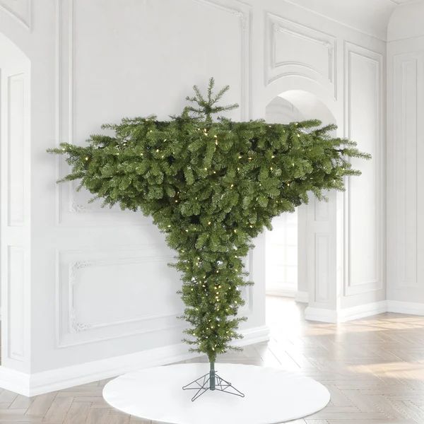 Douglas 8" Green Fir Artificial Christmas Tree with 650 White LightsSee More by The Holiday Aisle... | Wayfair North America