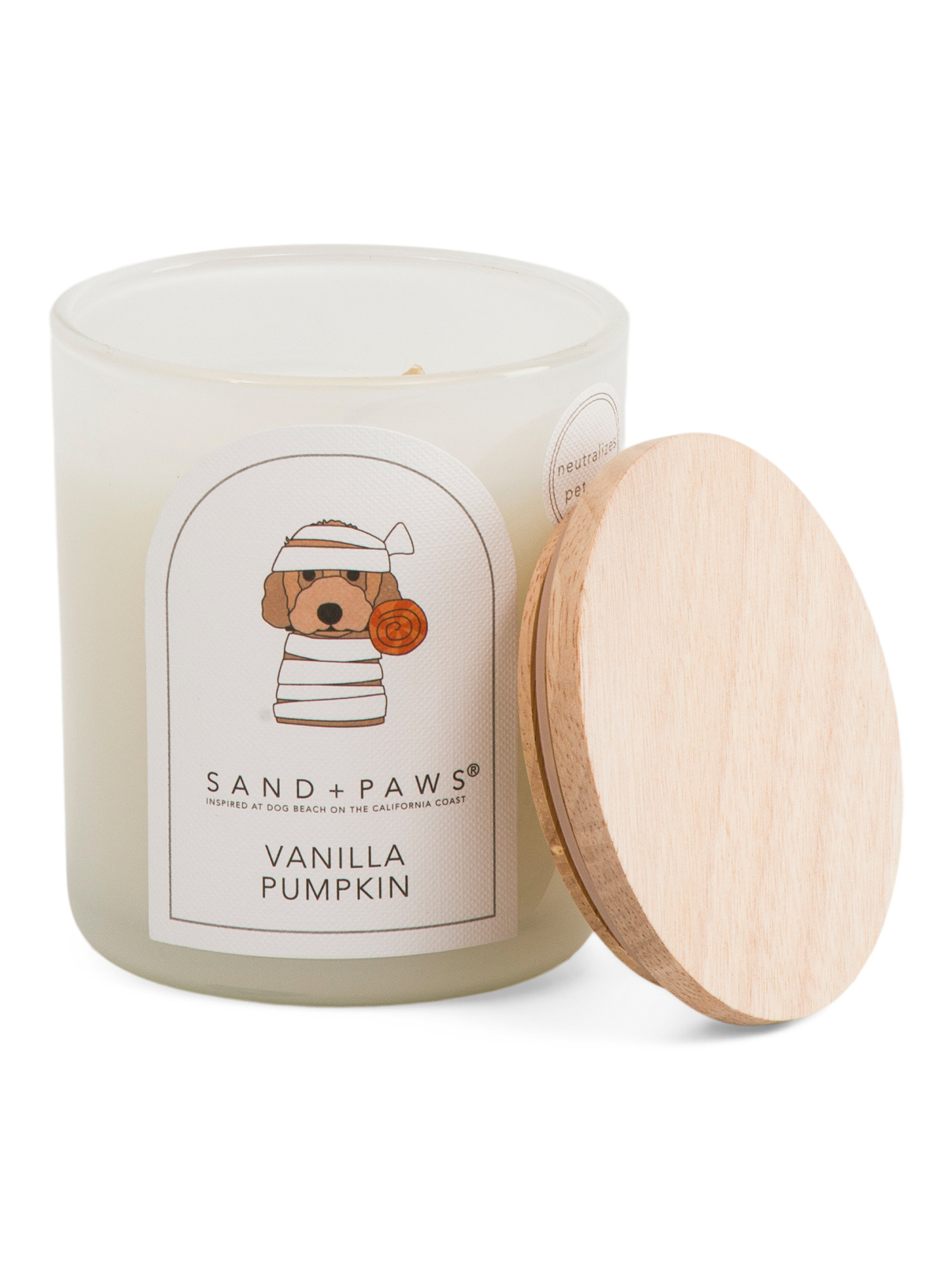 10oz Vanilla Pumpkin Scented Candle | TJ Maxx