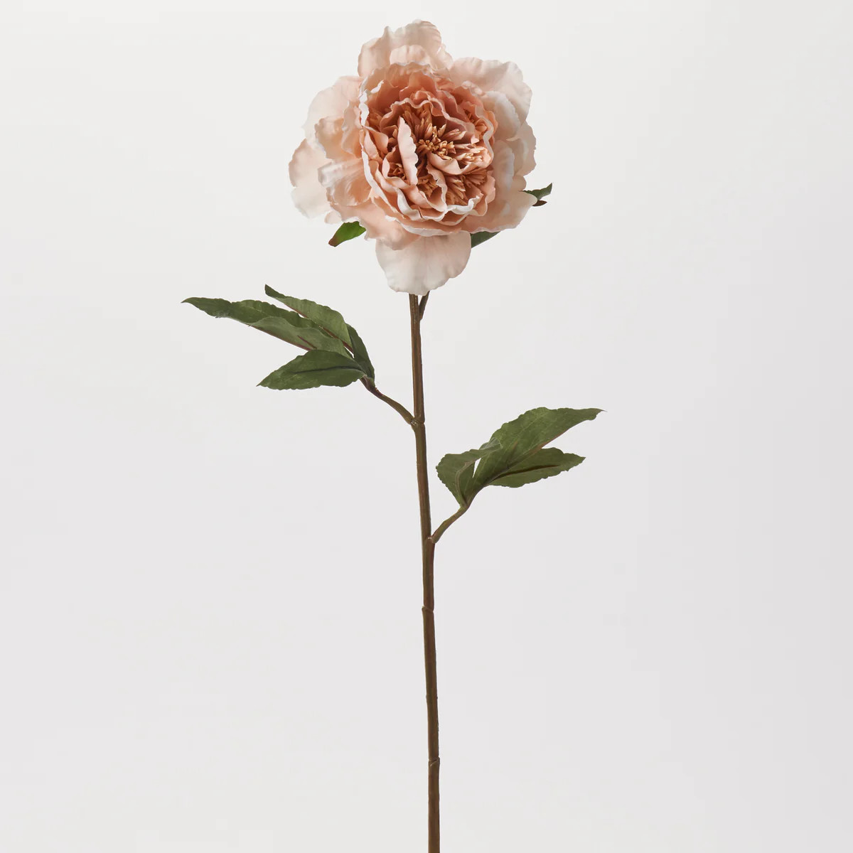 Dried Look Blush Pink Silk Peony Bloom Single Faux Floral Stem Spray - 25" | Darby Creek Trading
