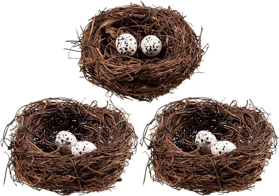 Whaline 3 Set Easter Bird Nest Decorating Kit with 6 Artificial Egg Foam Eggs Ornaments Rattan Bi... | Amazon (US)