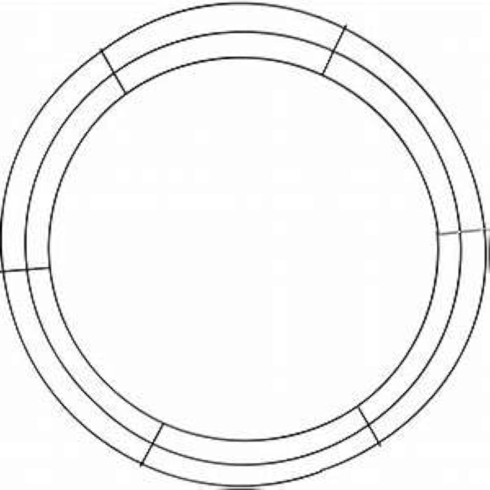 (2X) Metal Wire Wreath Rings/Frame 18 in. Green Wire Frame Perfect for Crafts Floral and Flower D... | Amazon (US)