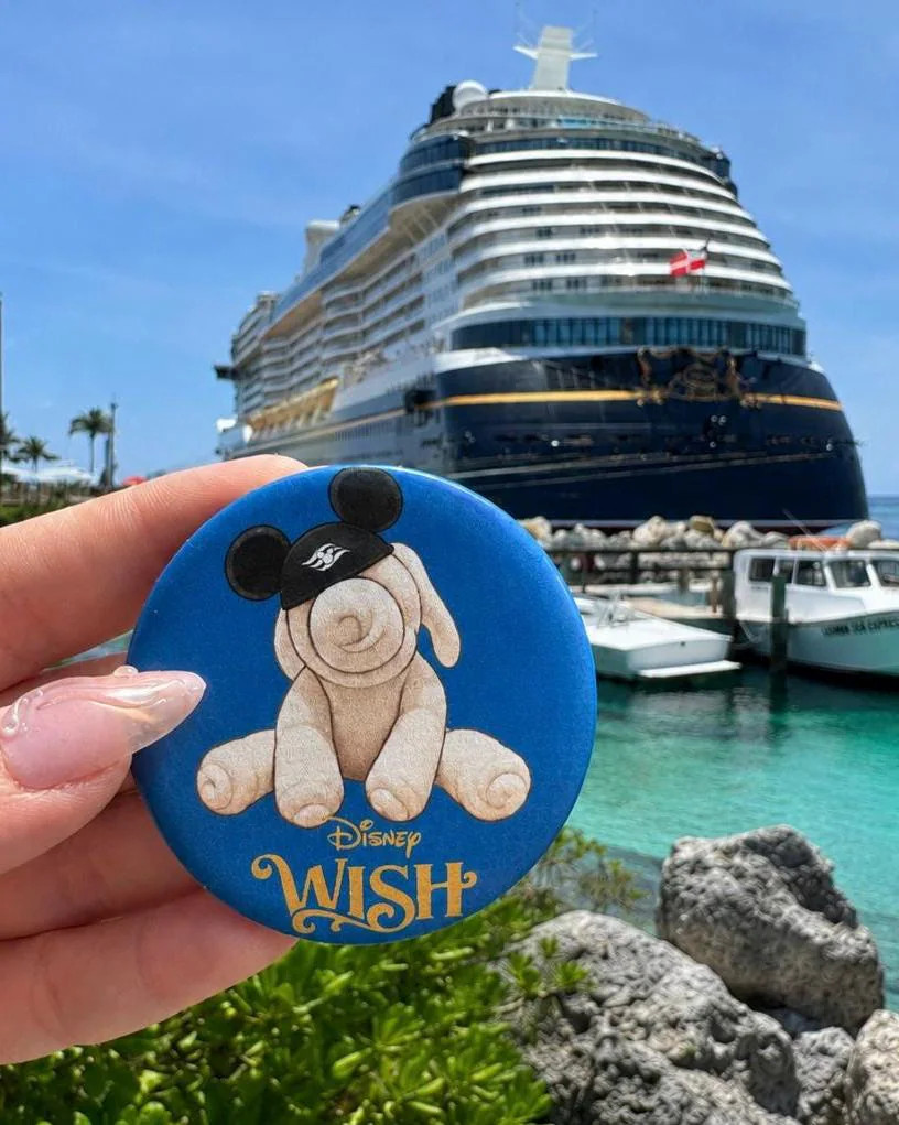 Disney Cruise Line Towel Animals Pinback Buttons | Etsy (Global)