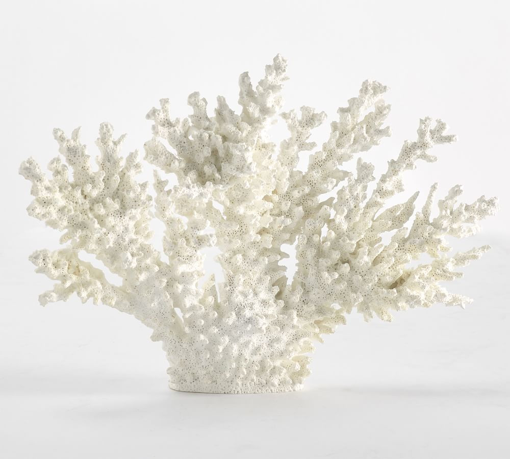 White Spike Coral | Pottery Barn (US)