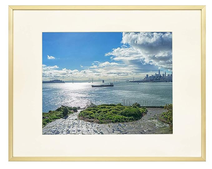 Frametory, Metal Picture Frame Collection, Aluminum Gold Photo Frame with Ivory Color Mat for Pic... | Amazon (US)