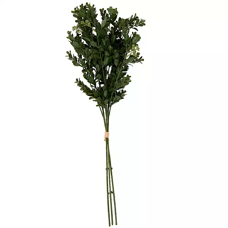 New! Boxwood Seed Bundle | Kirklands