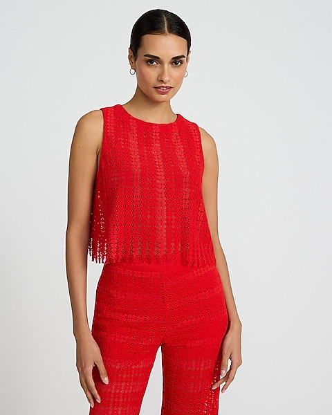 Sheer Lace Crew Neck Tank | Express