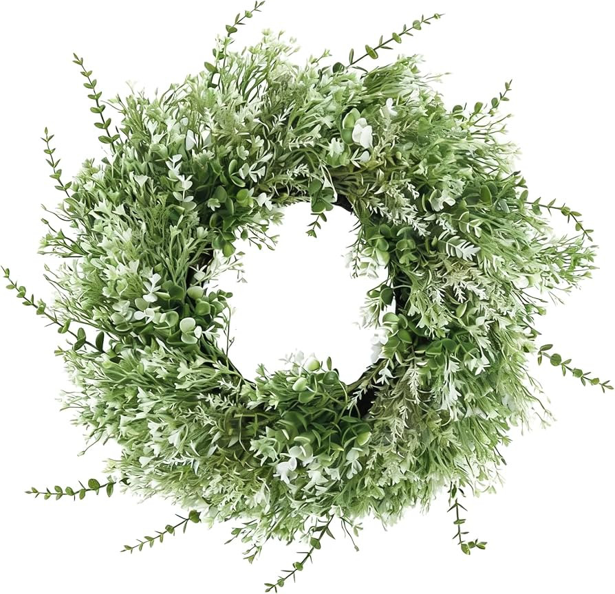 26'' Large Eucalyptus Wreath for Front Door - Artificial Eucalyptus Leaves with White Seeds Green... | Amazon (US)