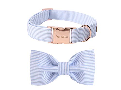 Unique Style Paws Pet Soft &Comfy Bowtie Dog Collar and Cat Collar Pet Gift for Dogs and Cats 6 Size | Amazon (US)