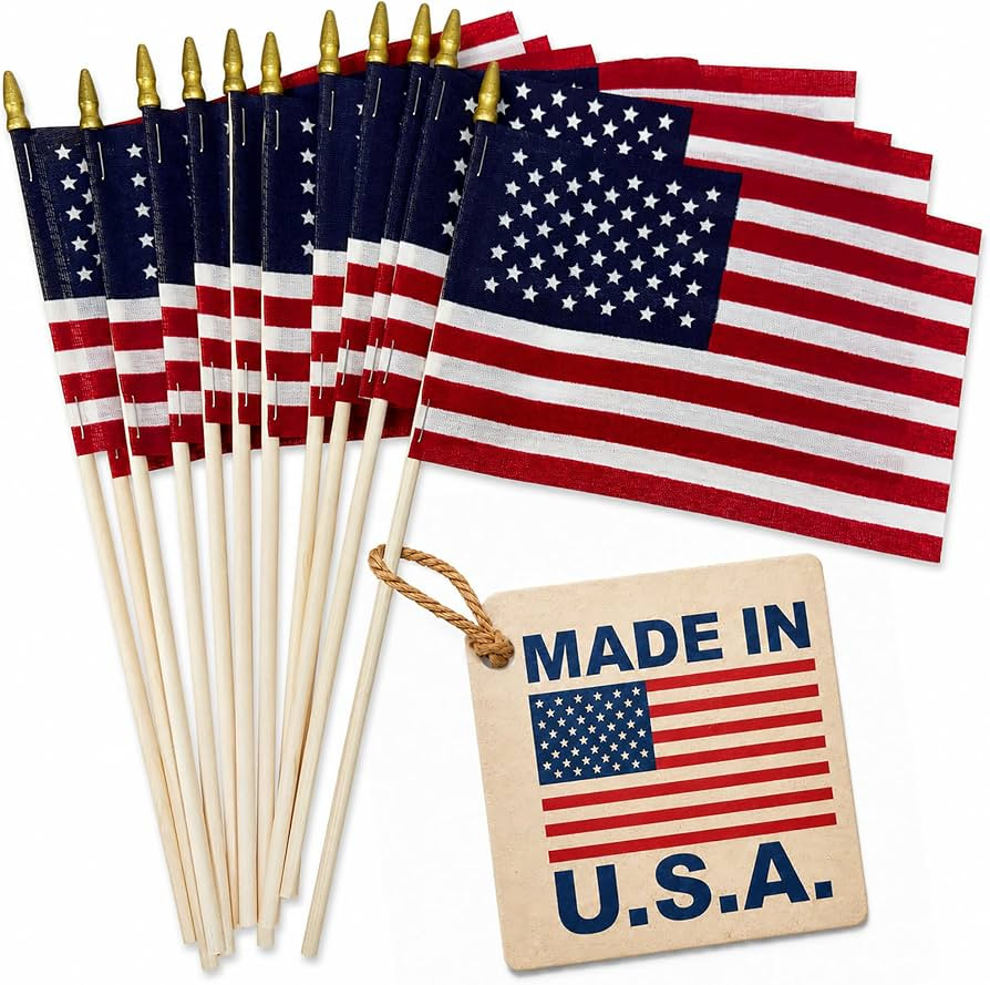 GIFTEXPRESS Set of 12, Proudly Made in U.S.A. Small American Flags 4x6 Inch/Small US Flag/Mini Am... | Amazon (US)