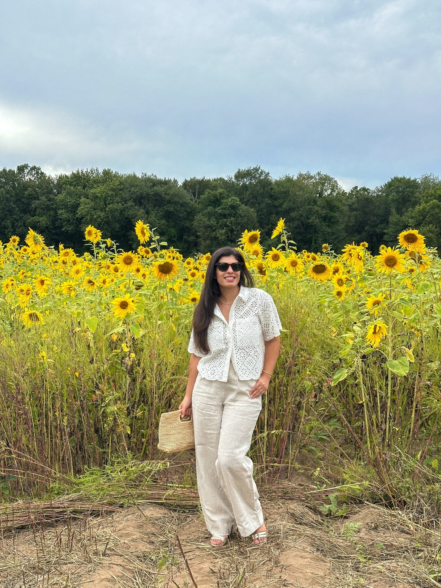 Sunflowers are the summer send off. A towering sea of yellow and green before the landscape transforms to orange and brown  