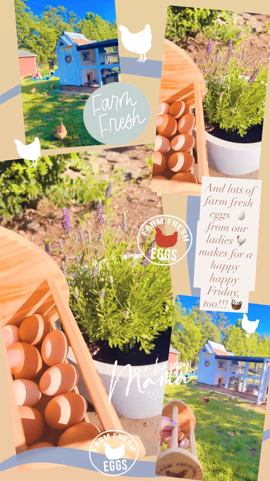 And lots of farm fresh eggs  🥚 from our ladies 🐓 makes for a happy happy Friday, too!!! 🧺