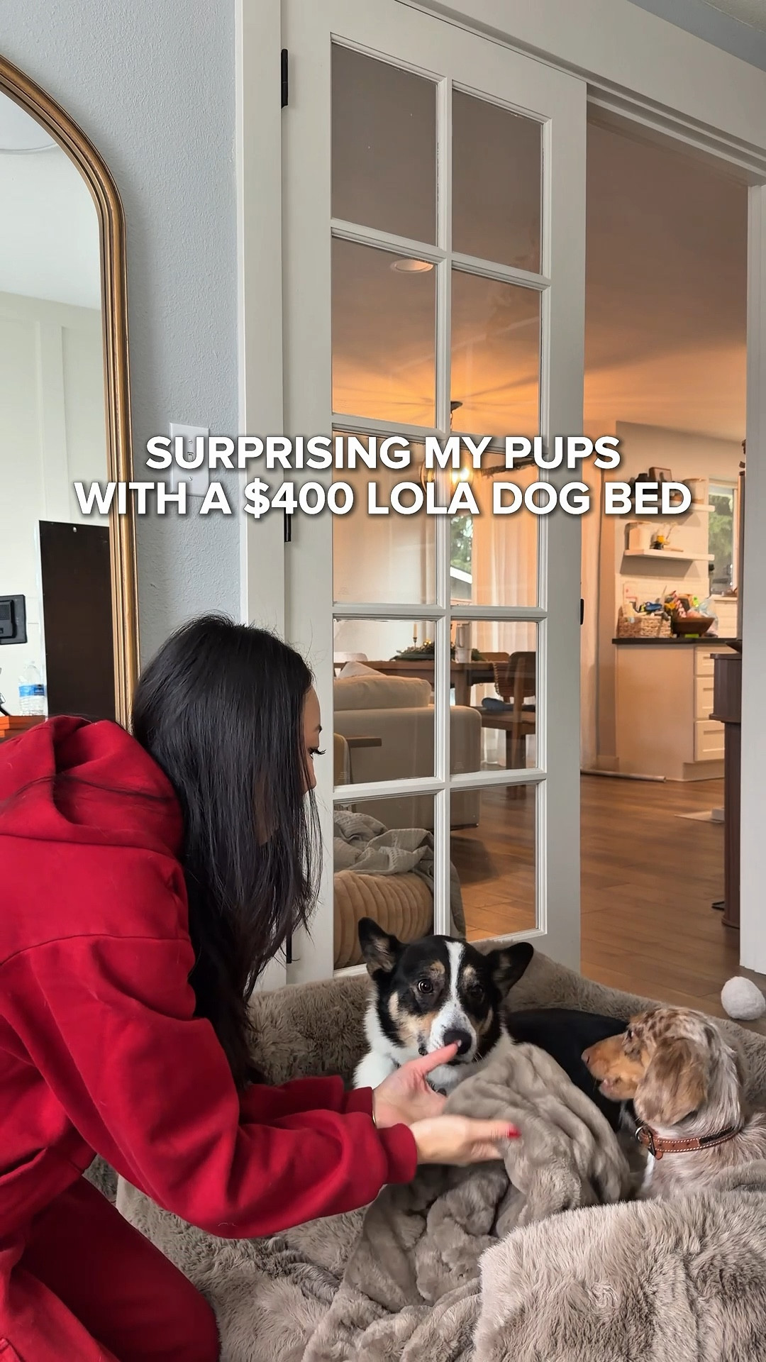 the perfect luxurious gift for your dogs this year!! the world’s softest blankets made a dog bed set and it is SO CUTE?! 🧸✨

#LTKHoliday #LTKGiftGuide #LTKHome