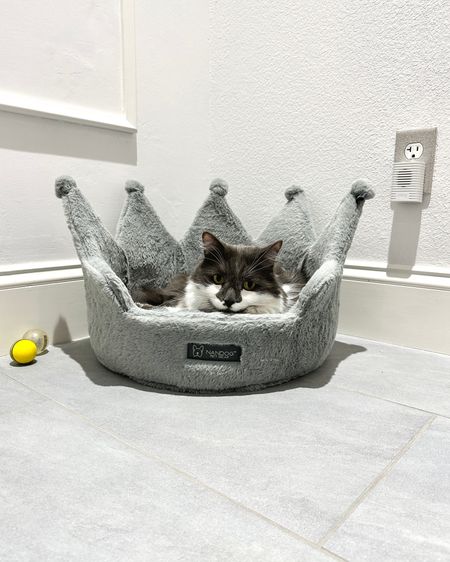 Crown small dog bed or cat bed comes in lots of different colors. Our cat loves the crown cat bed, it’s machine washable & on sale #founditonamazon #amazonfinds #catbed #dogbed 

#LTKhome #LTKCyberweek #LTKsalealert