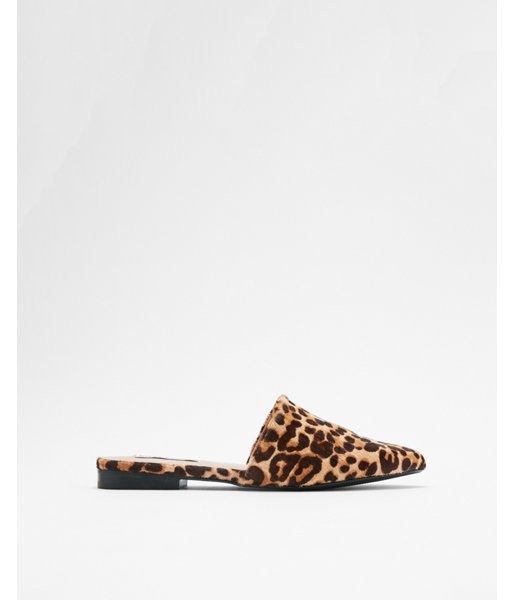 Express Womens Steve Madden Leopard Trace Mules Leopard Women's 6 Leopard 6 | Express