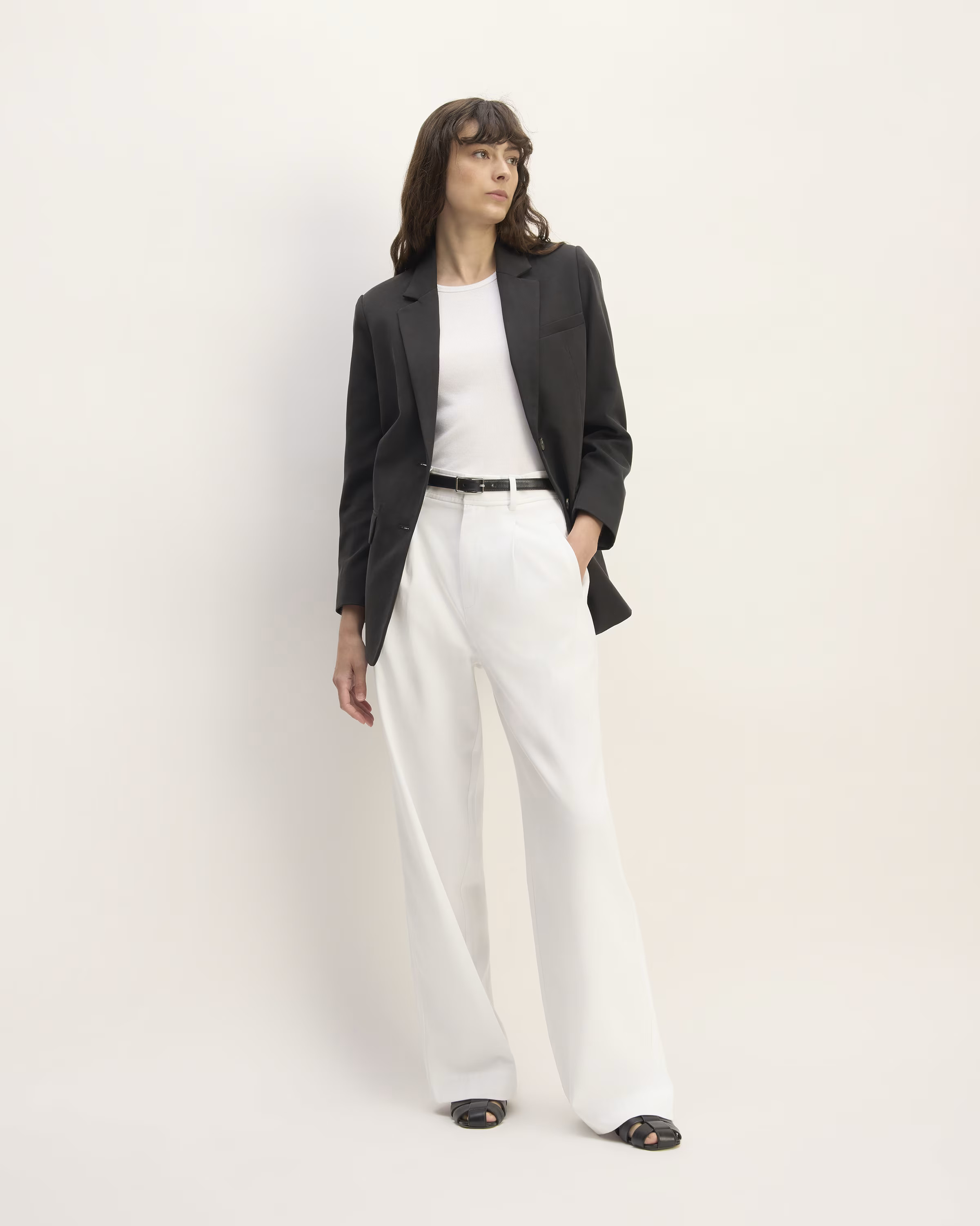 The Way-High® Drape Pant | Everlane