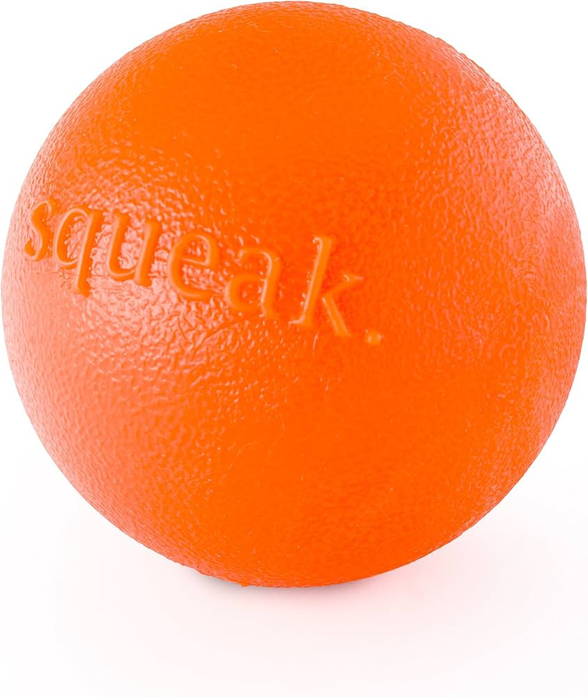 Planet Dog Orbee-Tuff Squeak Ball Orange Dog Fetch Toy | Amazon (US)