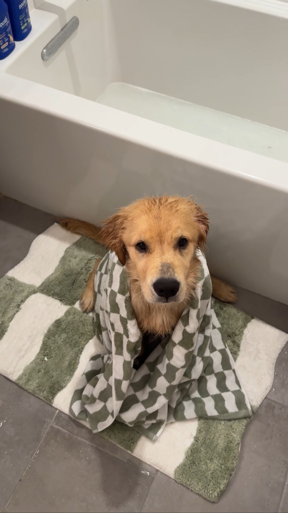 towels & bath mat