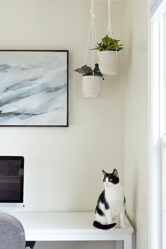 Some of our favorite cat care necessities 🐾🐈‍⬛


#LTKFindsUnder100 #LTKFamily #LTKFindsUnder50