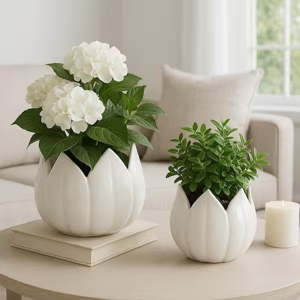 9 in. and 12 in. White Ceramic Tulip Petal Design Decorative Planters (Set of 2)

#LTKSeasonal #LTKHome #LTKSpringSale
