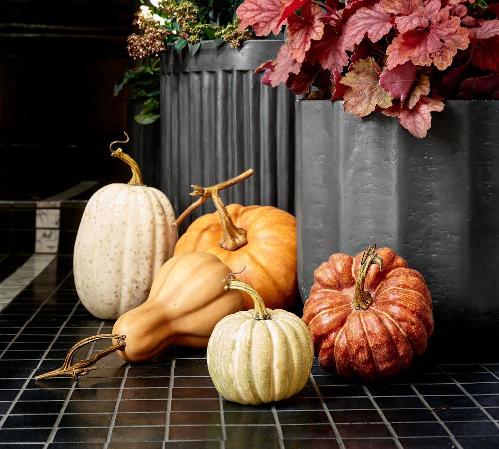 Faux Pumpkins & Gourds - Set of 5 | Pottery Barn (US)