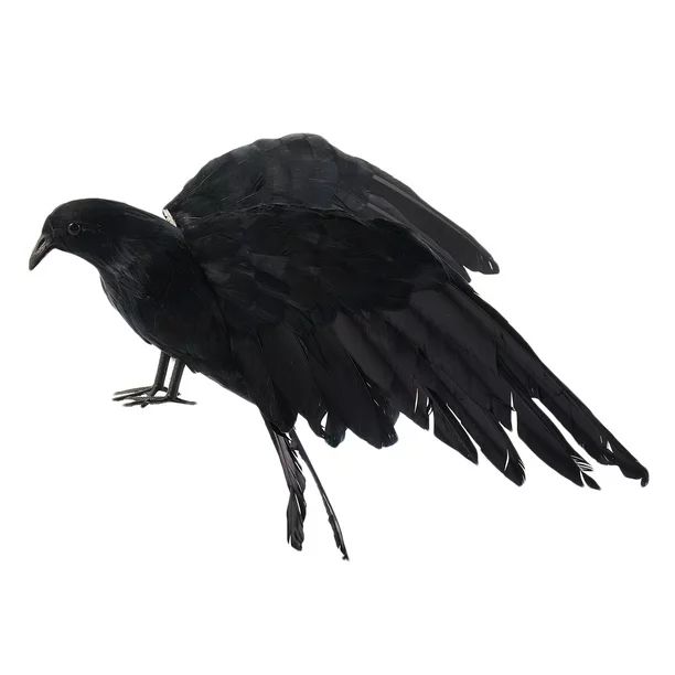 Halloween prop feathers Crow bird large 25x40cm spreading wings Black Crow toy model toy,Performa... | Walmart (US)