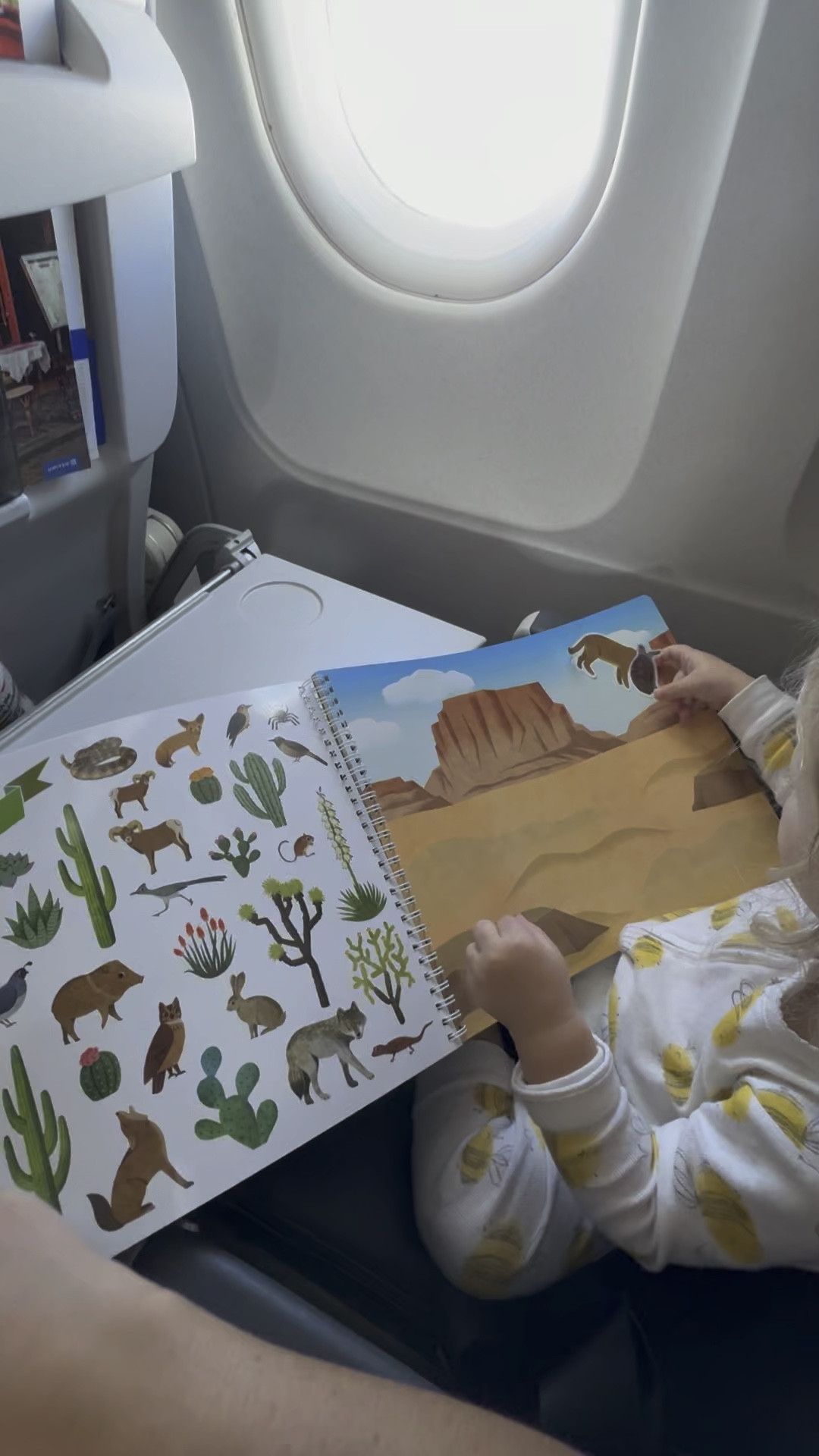 Toddler travel hack

#LTKKids #LTKTravel #LTKBaby