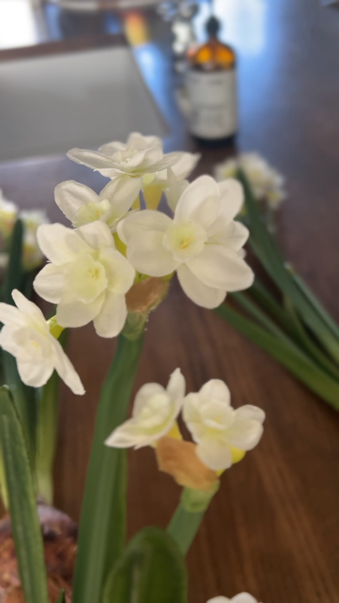 Sullivans Artificial Paperwhite … curated on LTK