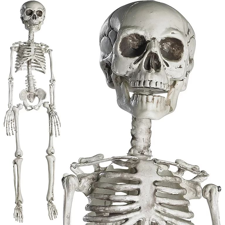 Prextex 30 inch Halloween Giant Skeleton - Full Body Halloween Skeleton With Movable Joints for B... | Walmart (US)