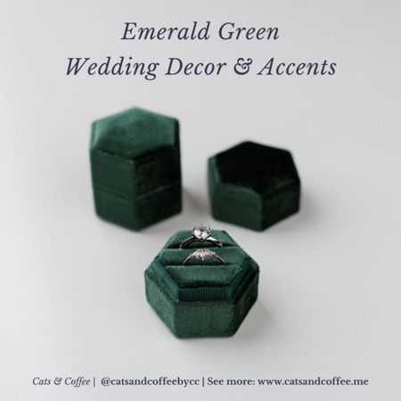 Emerald green wedding decorations, accents, and favors 💚 simple and elegant wedding decor in a rich jewel tone green

#LTKFind #LTKstyletip #LTKwedding