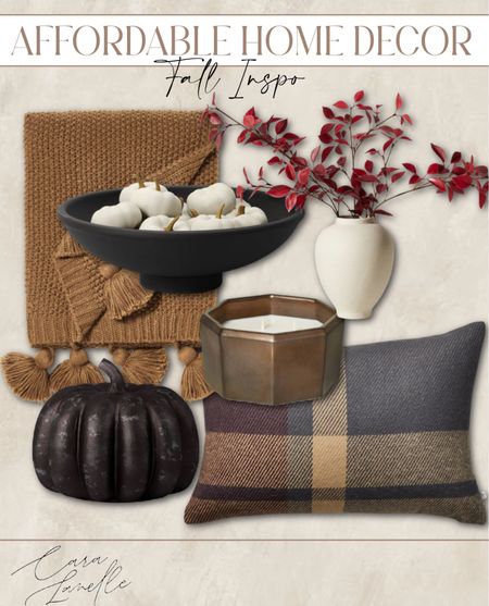 Affordable fall home decor 

Pillows, stems, pumpkins, blankets, candles, home decor, target

#LTKSeasonal #LTKhome #LTKHalloween