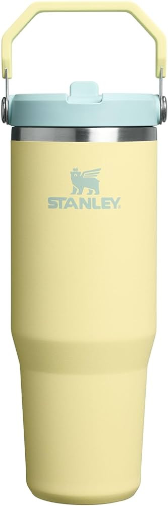 Stanley IceFlow 2.0 Flip Straw Tumbler with Handle 30 oz | Twist On Lid and Flip Up Straw | Leak ... | Amazon (US)