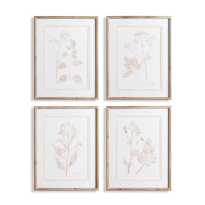 Napa BLUSH BOTANICAL STUDY, SET OF 4 Wall Accent, Pine Wood/Glass/Mdf in Includes Mat by DecoratorsBest | DecoratorsBest