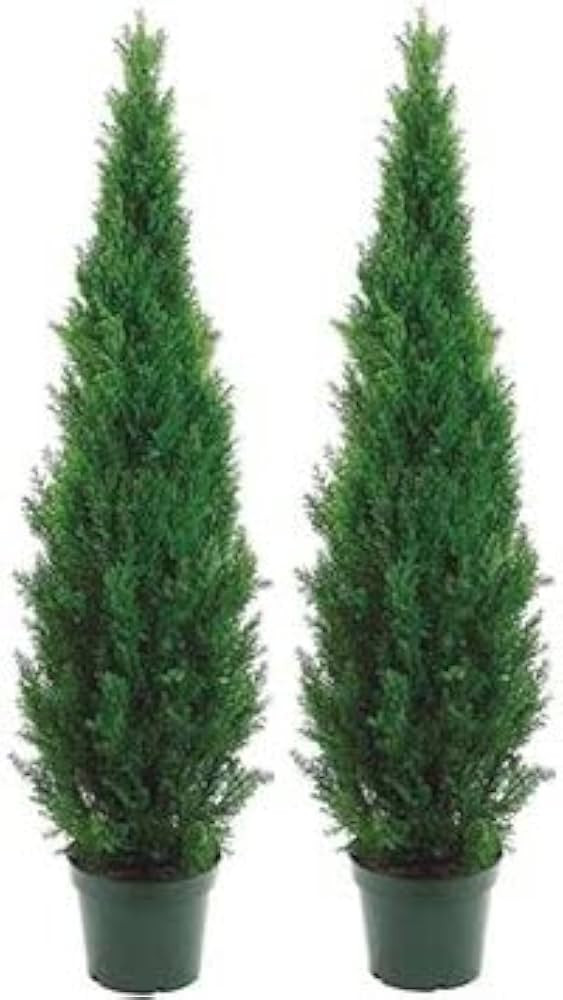 Two 5 Foot Outdoor Artificial Cedar Topiary Trees Potted Plants Two Peace Construction | Amazon (US)