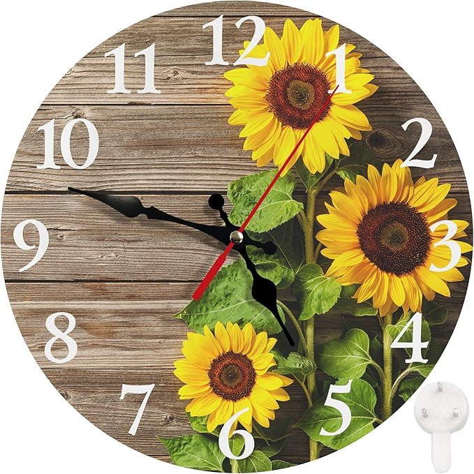 Britimes Round Wall Clock, Silent Non-Ticking Battery Operated Clock 10 Inch, Decor for Bathroom,... | Amazon (US)