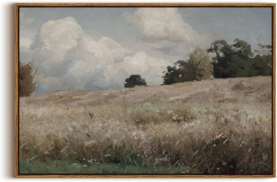 InSimSea Framed Canvas Wall Art Vintage Decor, Farmhouse Scenery Vast Field Grassland Paintings, ... | Amazon (US)