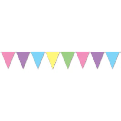 Pennant Banner - 11" x 12' - Pack of 12 | Wayfair North America