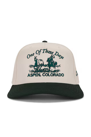 ONE OF THESE DAYS x FWRD Just For A Moment Cap in Tan & Forest Green from Revolve.com | Revolve Clothing (Global)