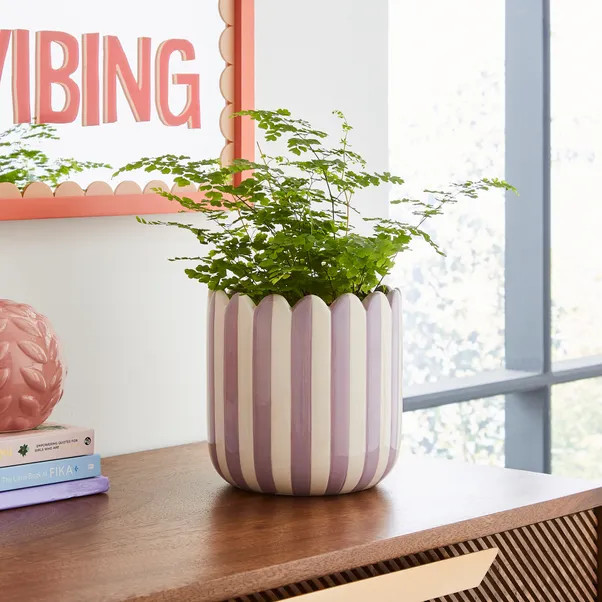 Striped Plant Pot | Dunelm (migrated)