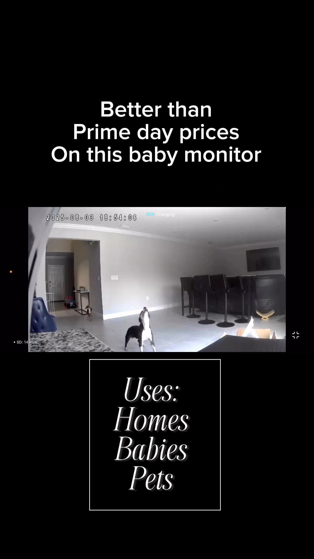 The home/baby camera that I never knew I needed #homecamera #petcam

#LTKBump #LTKFamily #LTKPets