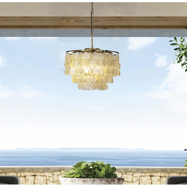 Preas 3-Lights Unique Tiered Antique Bronze Capiz Chandelier with Seashell Accents | Wayfair North America